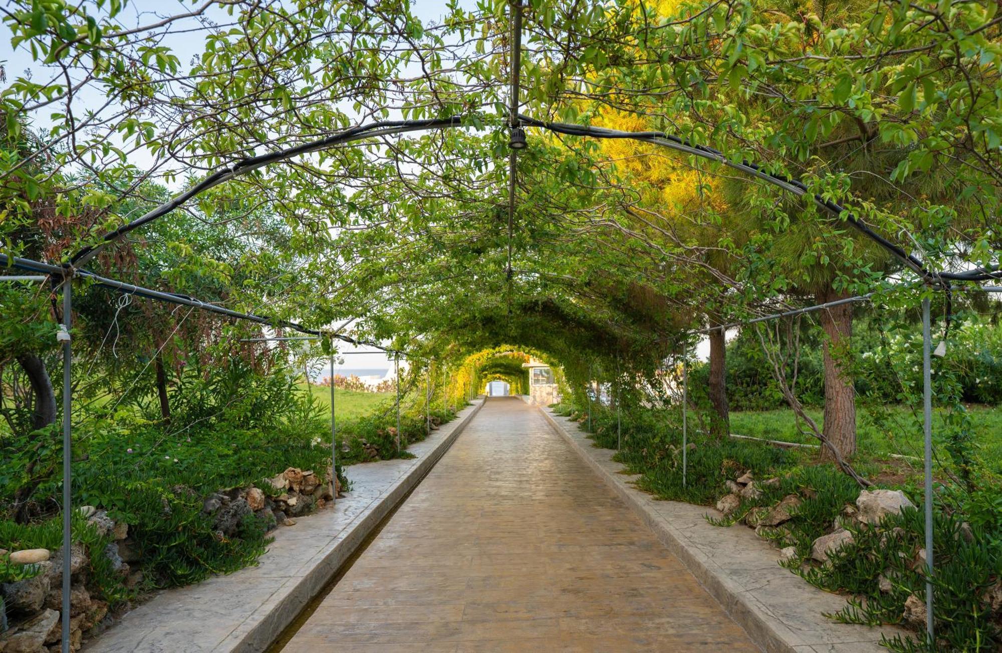 Hotel Master Family Club Manavgat Exterior foto